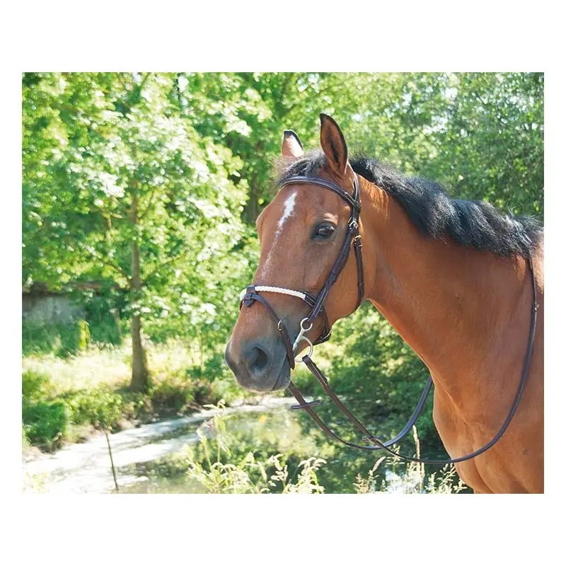 Muserolle cheval en corde et cuir T de T